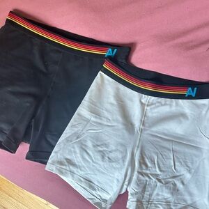Aviator Nation Shorts